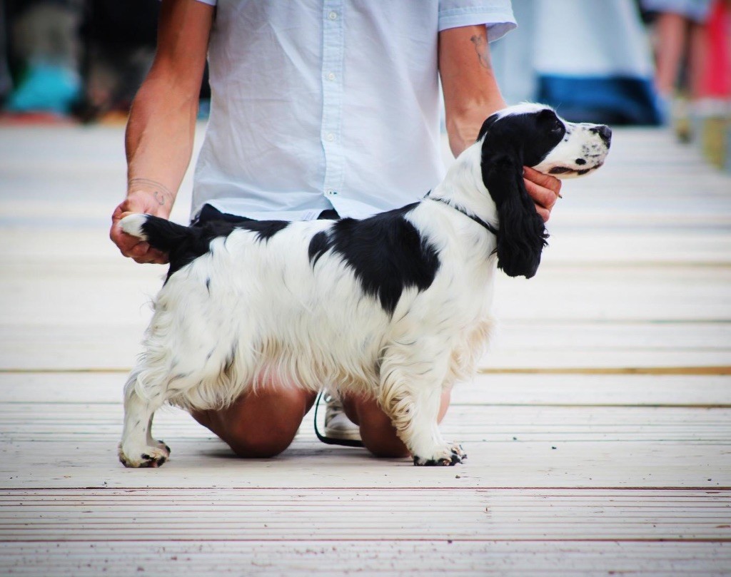 V'la odette des Landes d'Araize